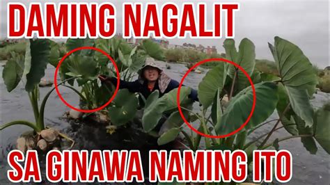 PAPA STAR NYO NAGALIT SA DAMING NANGLILIGAW..